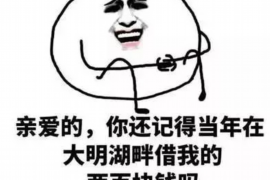 汕尾债务清欠服务